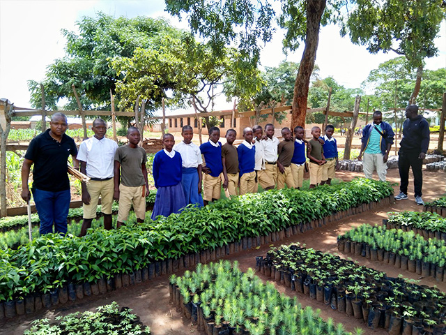 3-Tree-nursery-in-school